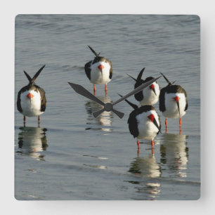 Köksväggar Fyrkantig Klocka