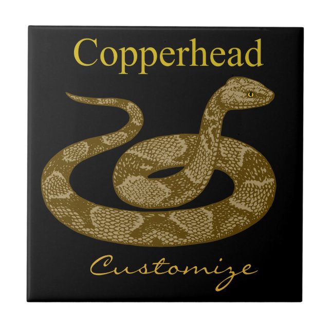 Kokt Copperhead Snake Thunder_Cove Kakelplatta (Framsidan)