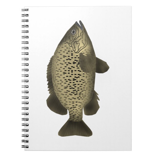 Kol Grunter Anteckningsbok (Framsidan)