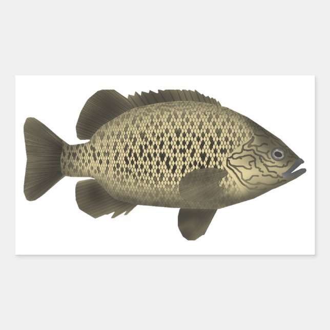 Kol Grunter Rektangulärt Klistermärke (Framsida)