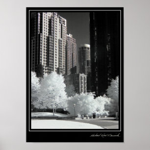 Kol Harbour nr 16 Poster