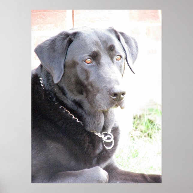 Kol Poster (Framsidan)