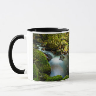 Kolalingo Waterfalls: Serenity in Wicklow Mugg