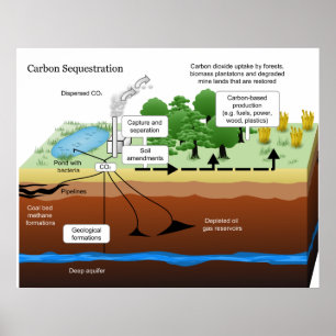Koldioxidsedimentering från kolkraftverk poster
