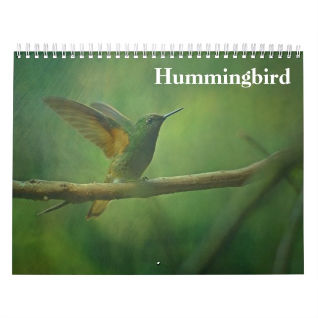 Kolibri 2027 kalender (Omslag)