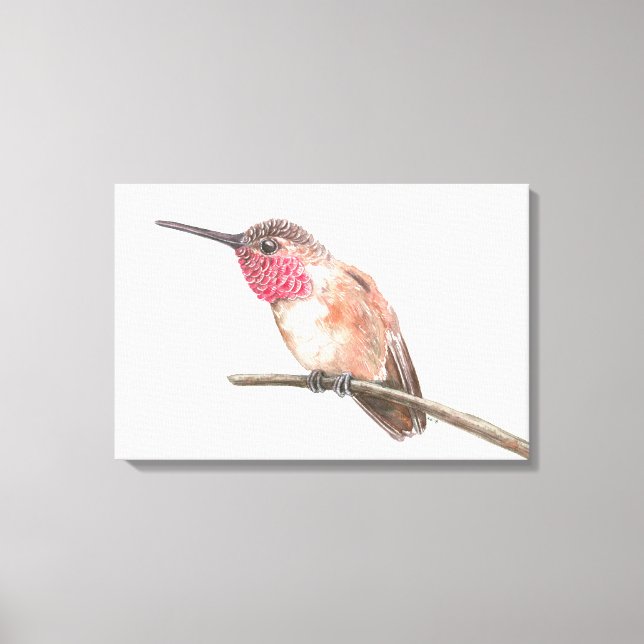 Kolibri akvarell canvastryck (Framsida)