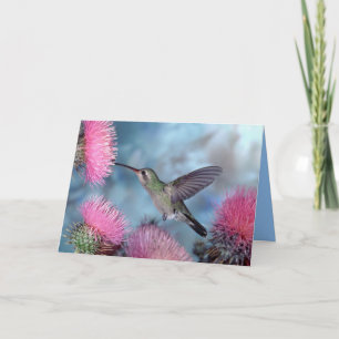 Kolibri Alla Tillfällen Kort