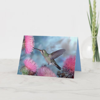Kolibri Alla Tillfällen Kort