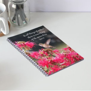 Kolibri Aristoteles Filosofisk Citat Anteckningsbok