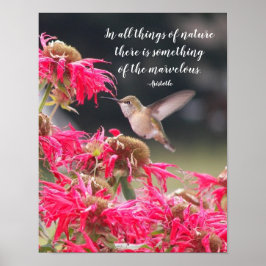 Kolibri Aristoteles Filosofisk Citat Poster