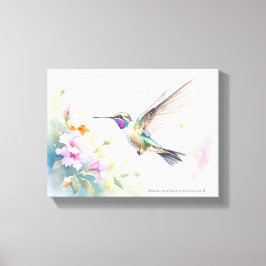 Kolibri Canvastryck