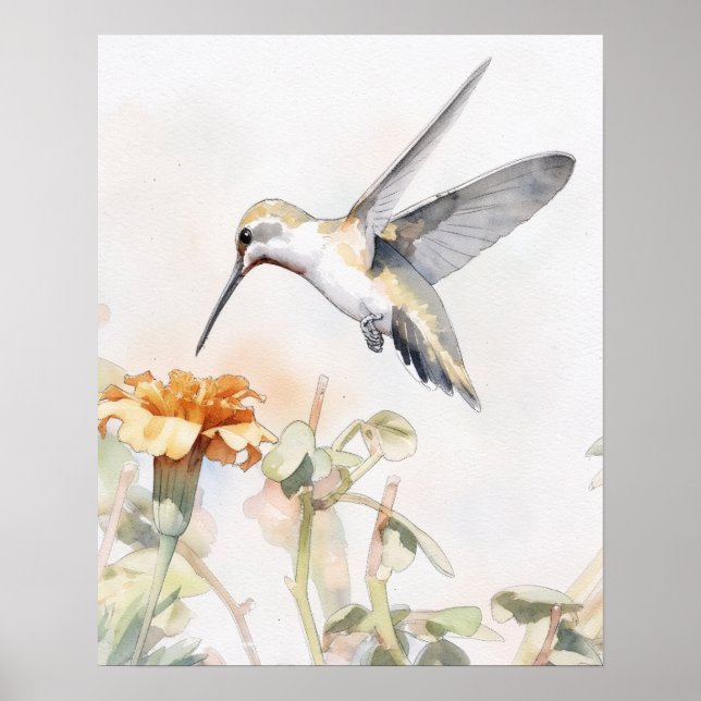 Kolibri Fågel Konst Affisch (Framsidan)