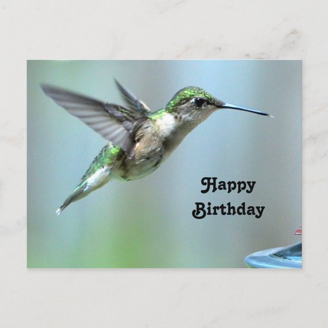 Kolibri Grön Flygning Foto Vilda Djur Födelsedag Vykort (Framsida)