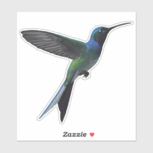 Kolibri Klistermärken