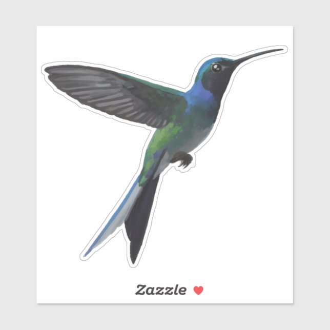 Kolibri Klistermärken (Ark)