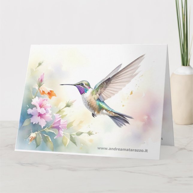 Kolibri Kort (Framsida)