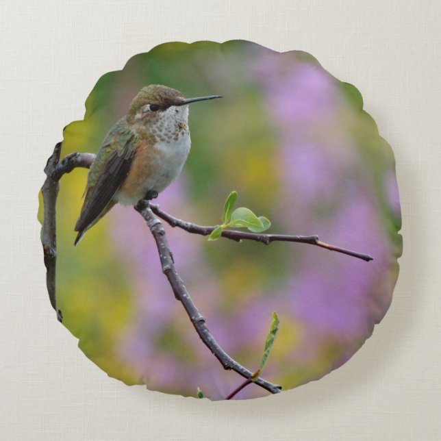 Kolibri lila rosa blommig bakgrund rund kudde (Framsidan)