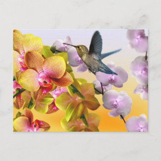Kolibri, lila syren, gula rosa orkidéer vykort