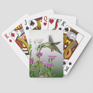 Kolibri Lunch Casinokort