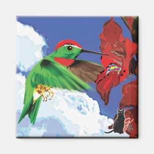 Kolibri Magnet