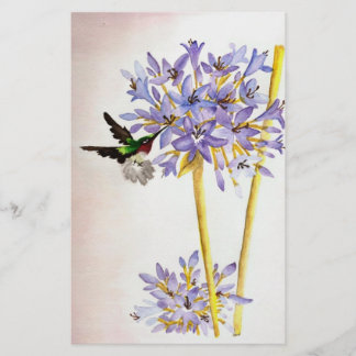 Kolibri och blommor