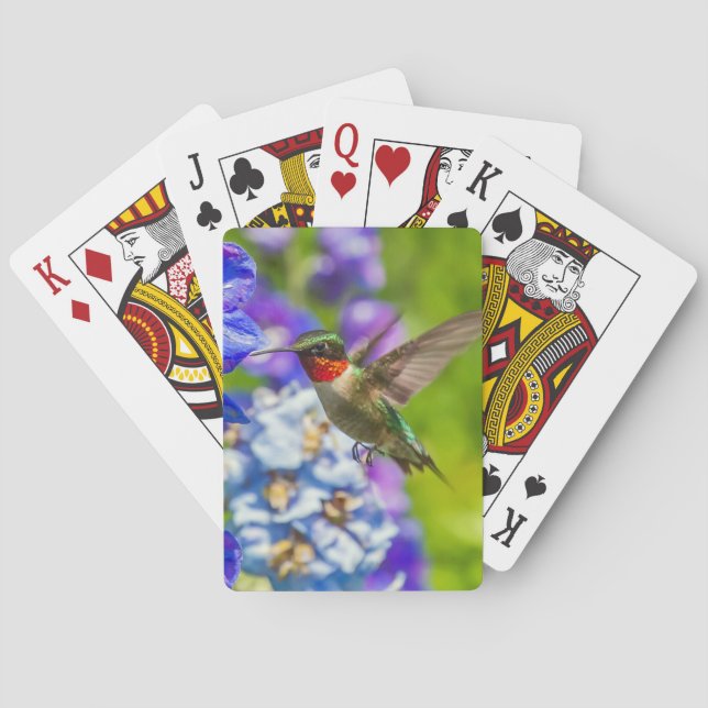 Kolibri och Delphinium  Casinokort (Baksidan)