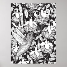 Kolibri och fuchsia