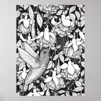 Kolibri och fuchsia poster