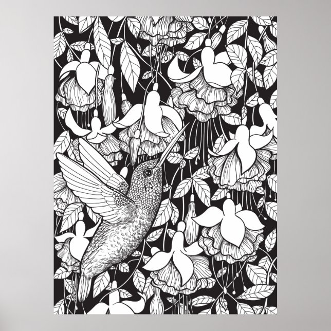 Kolibri och fuchsia poster (Framsidan)