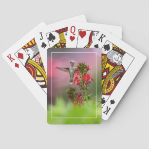 Kolibri och kardinalblomma casinokort