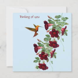 Kolibri och röda blommor anteckningskort