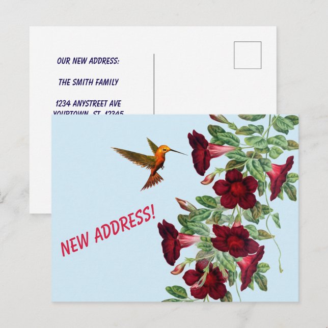 Kolibri och röda blommor Ny adress Vykort (Fram/baksida)