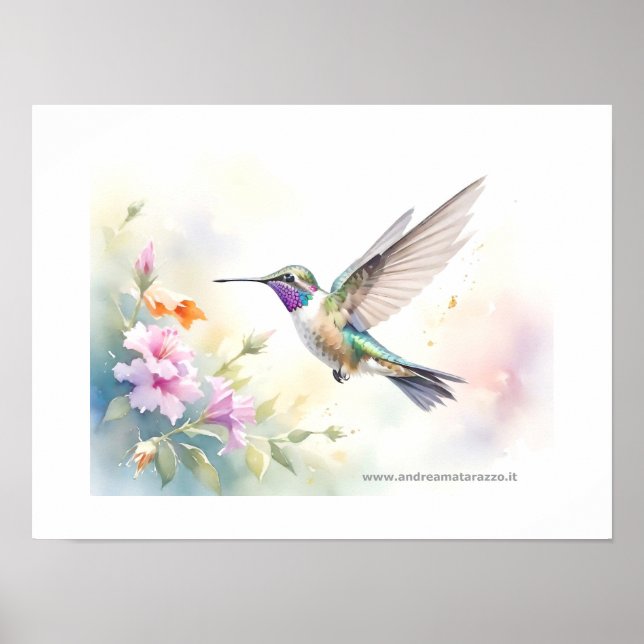 Kolibri Poster (Framsidan)