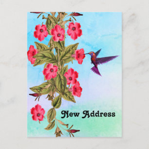 Kolibri Röda Blommor Blå Nyanser Bakgrund Meddelande Vykort