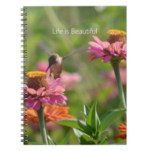 Kolibri Rosa Zinnia Blommor (min fotografering) Anteckningsbok