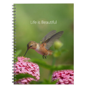 Kolibri Rosa Zinnia Blommor (min fotografering) Anteckningsbok