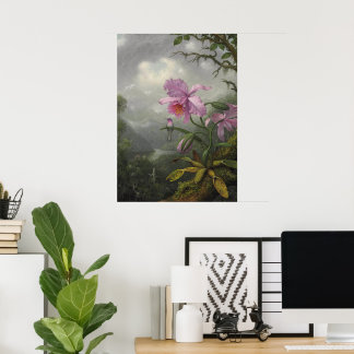 Kolibri sittande på en orkidéväxt av MJ Heade Poster