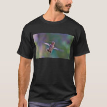 Kolibri