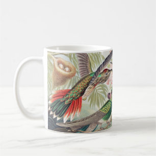 Kolibri, Trochilidae kolibrier av Ernst Haeckel Kaffemugg