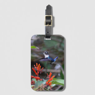 Kolibri under flykt och röda blommor bagagebricka