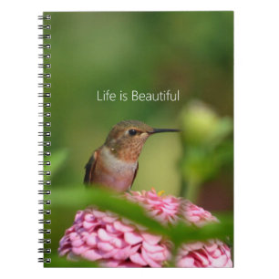 Kolibri Zinnia Blomsterträdgård (min fotografering Anteckningsbok