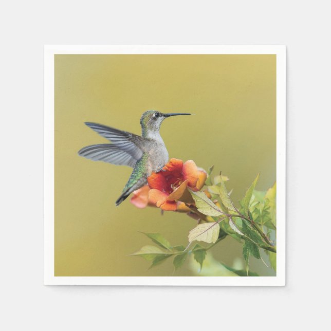 Kolibrie på trumpetblomma Fotografisk tryck Pappersservett (Framsidan)