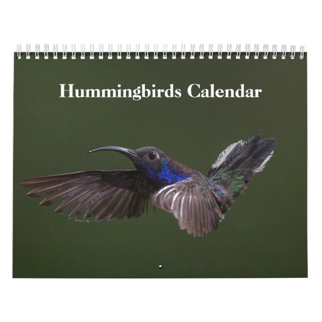 Kolibrier 2027 kalender (Omslag)