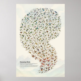 Kolibrier - Ljus Poster