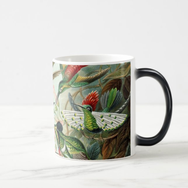 Kolibrier Magisk Mugg (Höger)
