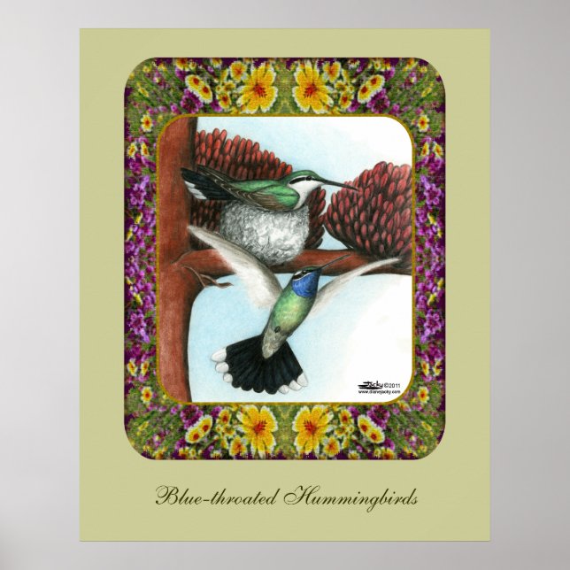 Kolibrier och blommor #3 poster (Framsidan)
