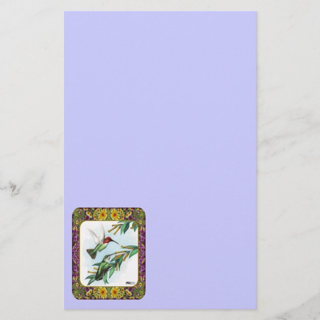 Kolibrier och blommor #4 brevpapper (Framsida)
