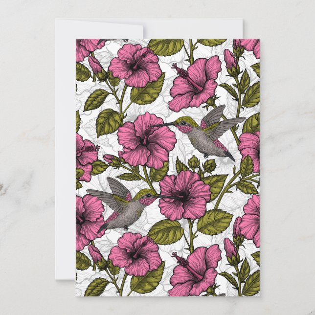 Kolibrier och rosa hibiskusblommor (Framsida)