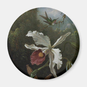 Kolibrier och Vit Orchidéa av Martin J. Heade Magnet
