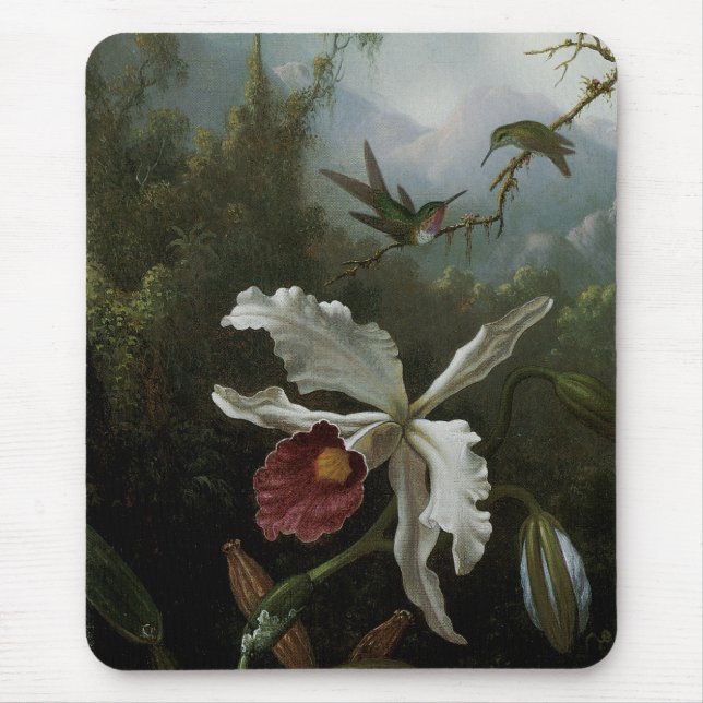 Kolibrier och Vit Orchidéa av Martin J. Heade Musmatta (Framsidan)